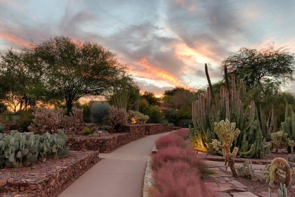 Tucson The Greens! 3Br Apt W/ Pool & Spa Buitenkant foto
